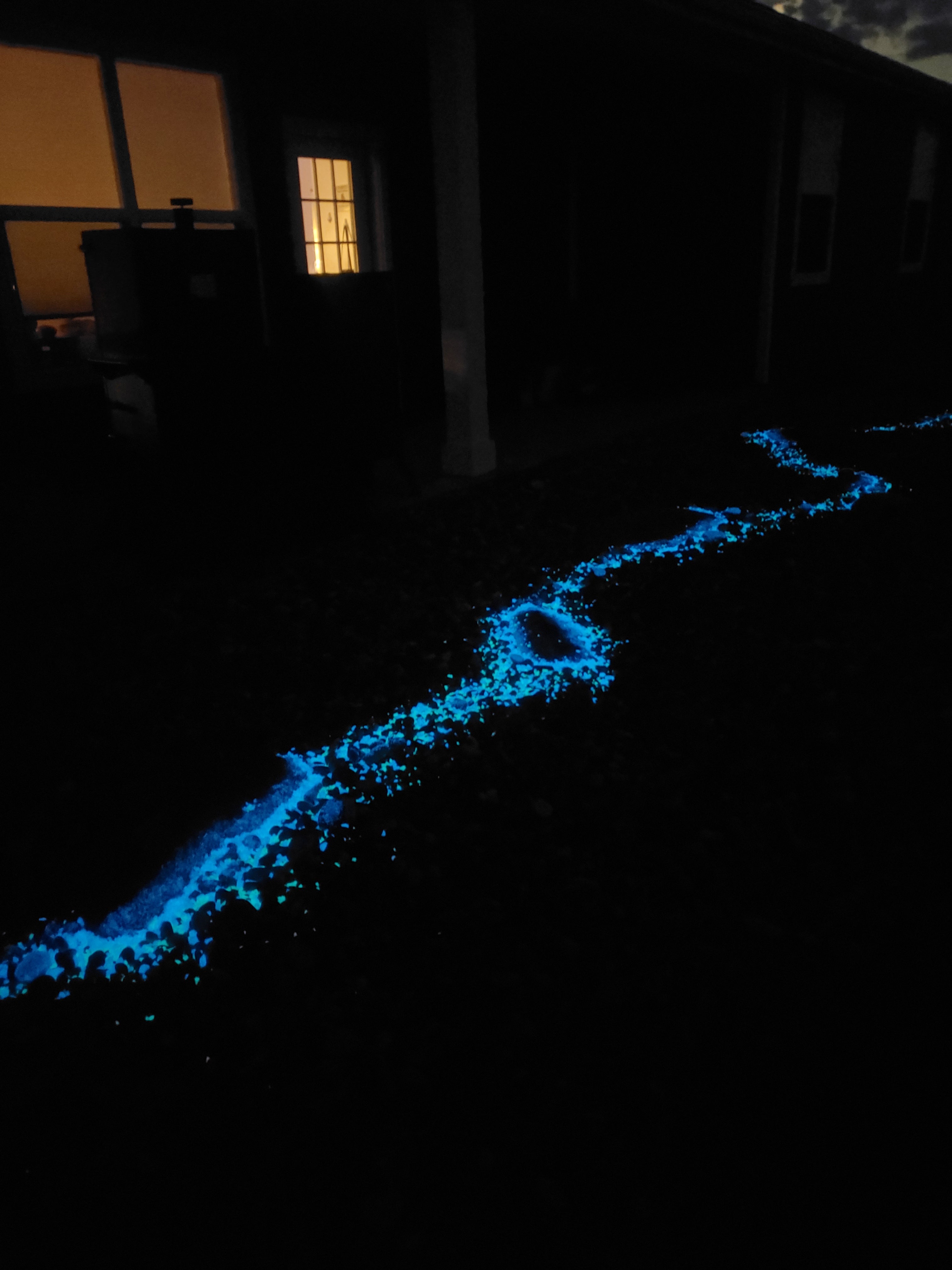 Close-up of It Glows glow-in-the-dark stones in a pathway, emitting a soft aqua-blue-green light.